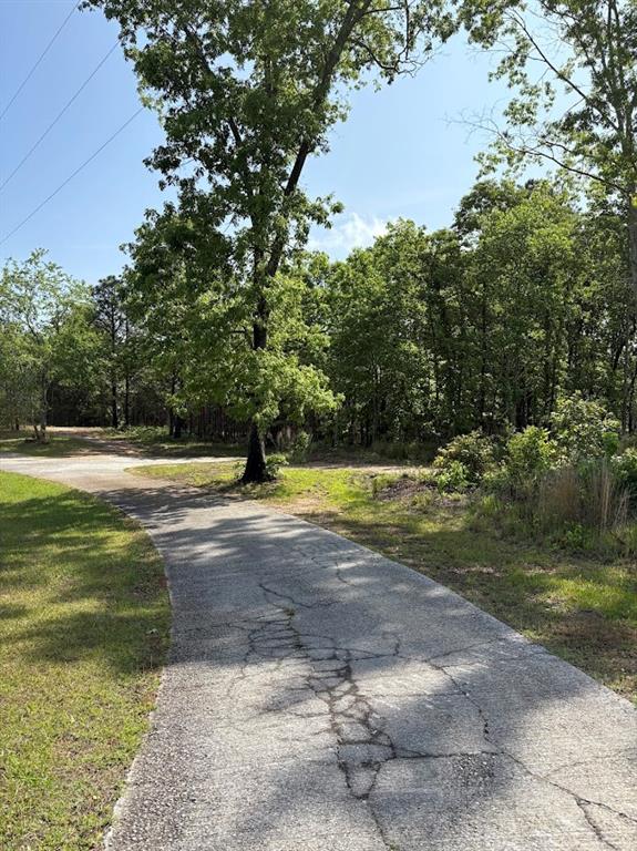 0 Roy Dean Road Buchanan, GA 30113 - Photo 18 of 24