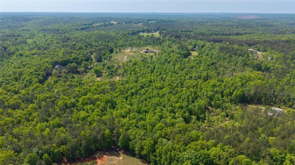 0 Roy Dean Road Buchanan, GA 30113 - Photo 19 of 24