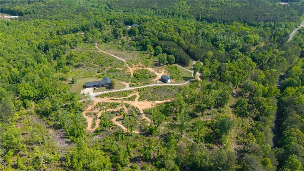 0 Roy Dean Road Buchanan, GA 30113 - Photo 20 of 24
