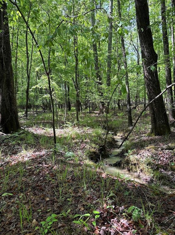 0 Roy Dean Road Buchanan, GA 30113 - Photo 2 of 24