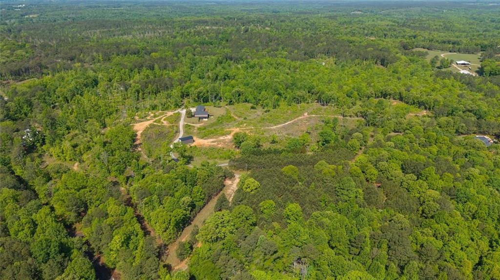 0 Roy Dean Road Buchanan, GA 30113 - Photo 21 of 24