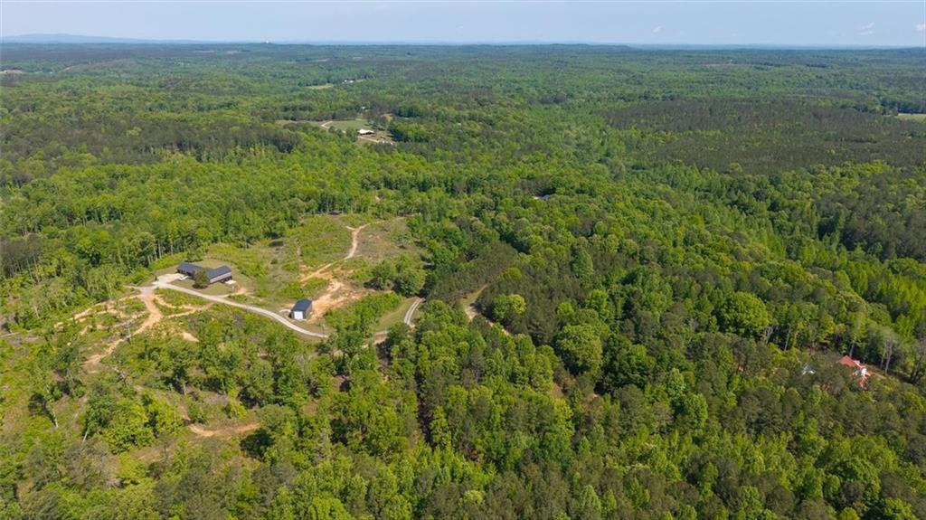 0 Roy Dean Road Buchanan, GA 30113 - Photo 22 of 24