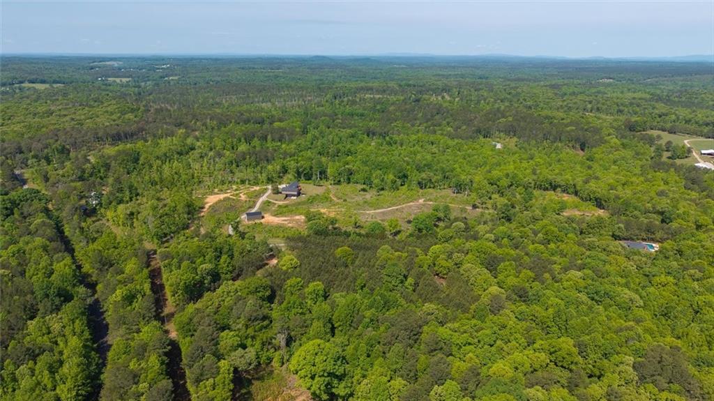 0 Roy Dean Road Buchanan, GA 30113 - Photo 23 of 24