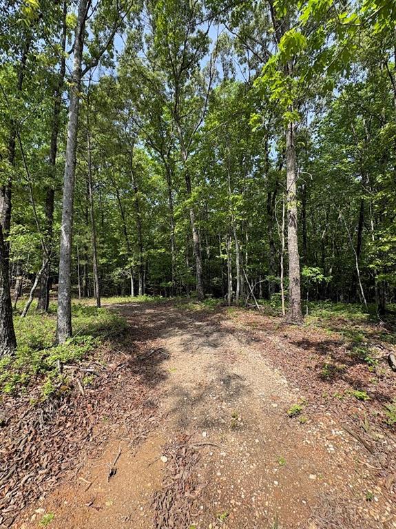 0 Roy Dean Road Buchanan, GA 30113 - Photo 3 of 24
