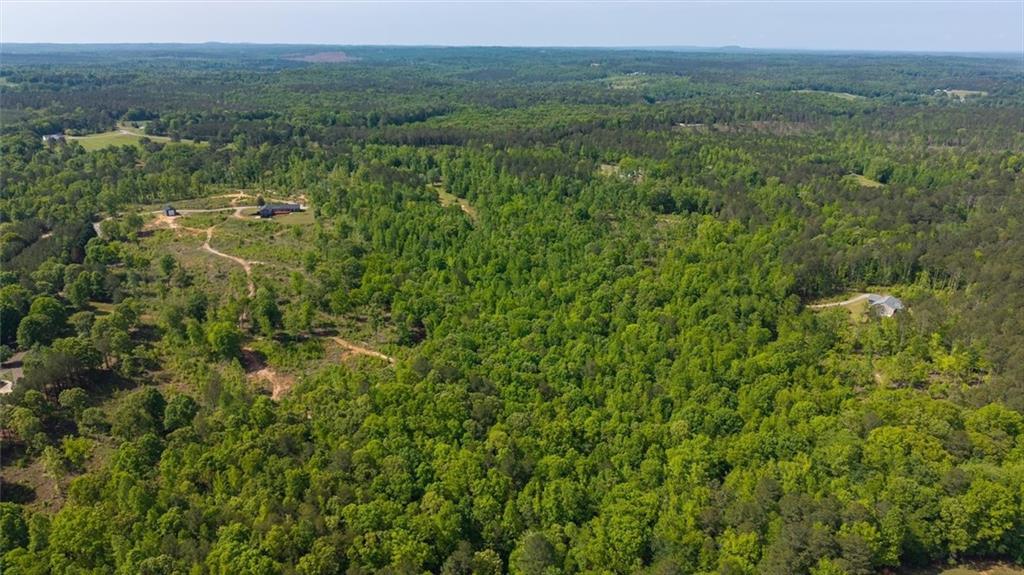 0 Roy Dean Road Buchanan, GA 30113 - Photo 4 of 24