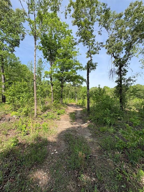 0 Roy Dean Road Buchanan, GA 30113 - Photo 7 of 24