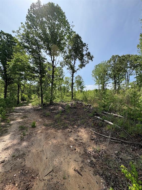 0 Roy Dean Road Buchanan, GA 30113 - Photo 8 of 24