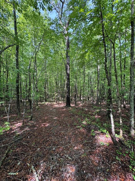0 Roy Dean Road Buchanan, GA 30113 - Photo 9 of 24
