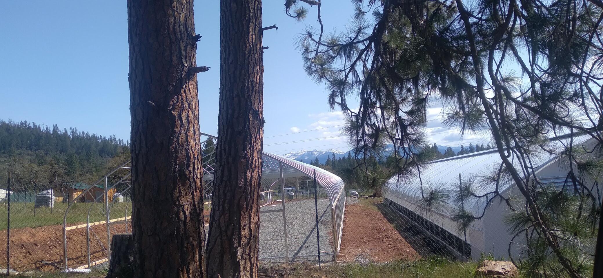 1679 Laurel Road Cave Junction, OR 97523 - Photo 8 of 18 9