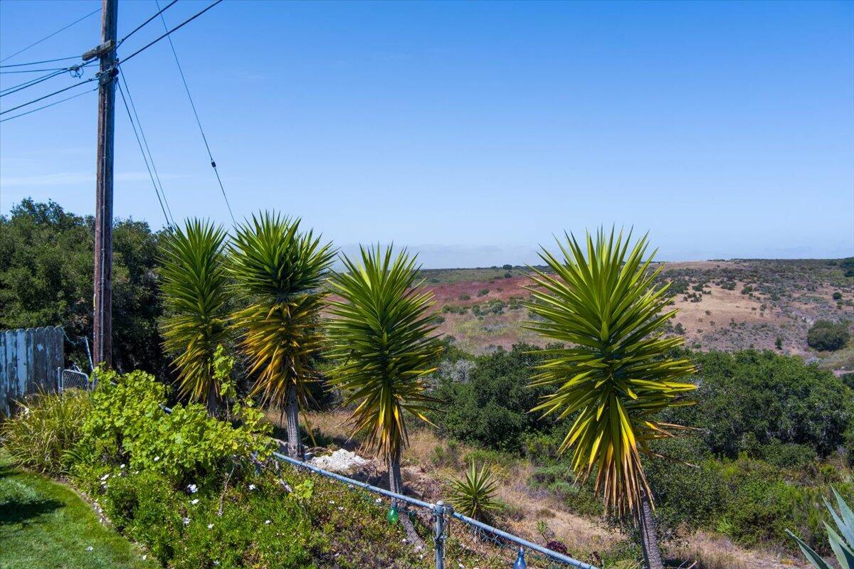 412 Milky Way Lompoc, CA 93436 - Photo 31 of 40 a view of a palm tree with garden