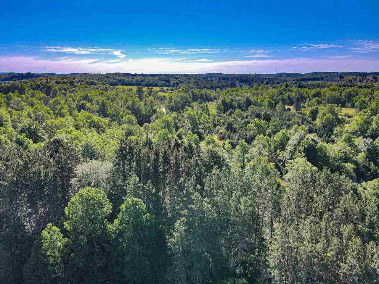 19 Mile Road, Unit 10 ACRES Leroy, MI 49655 - Photo 7 of 14