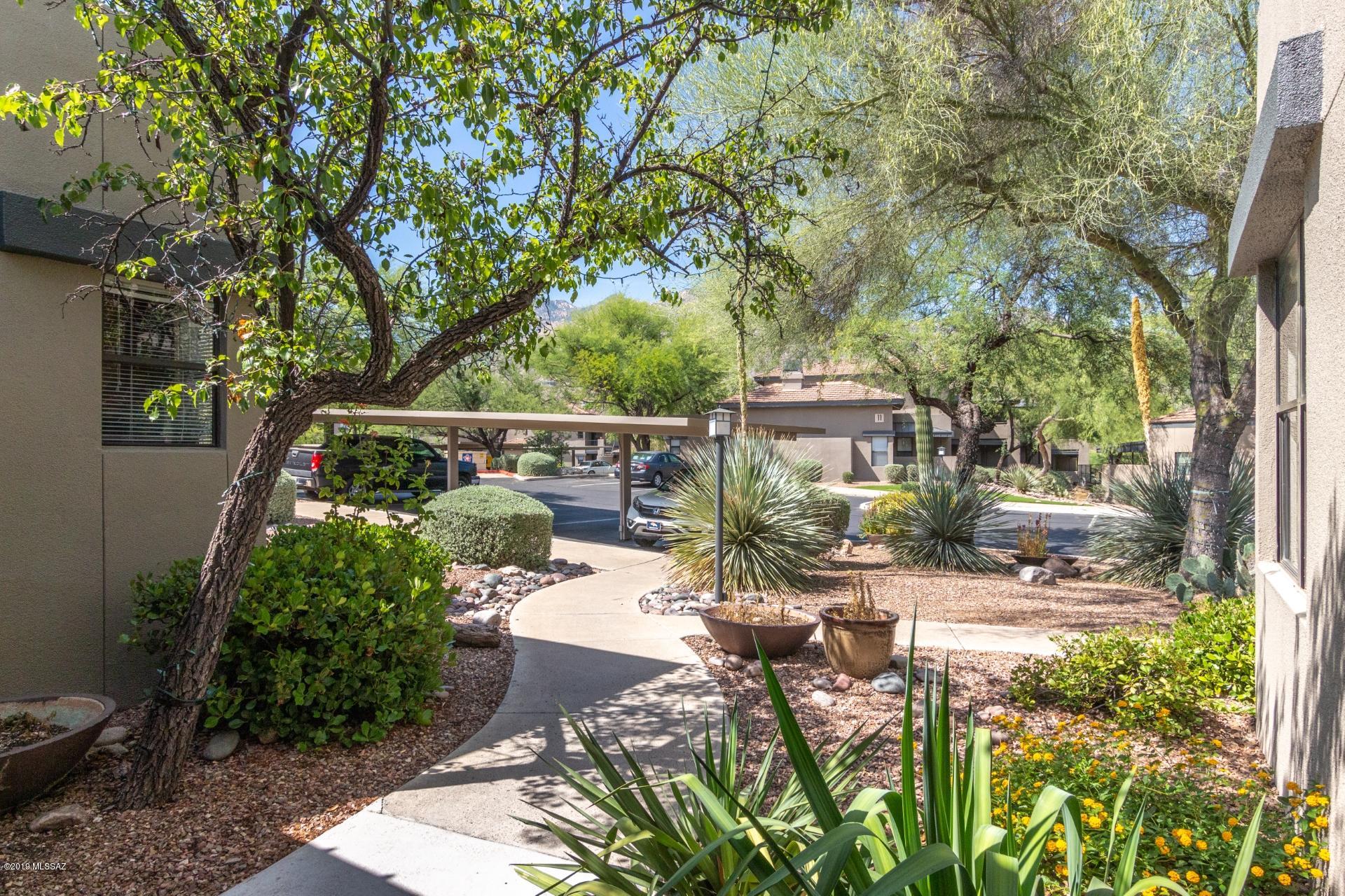 5800 North Kolb Road, Unit 10152 Tucson, AZ 85750 - Photo 6 of 25 Gallery Image 6