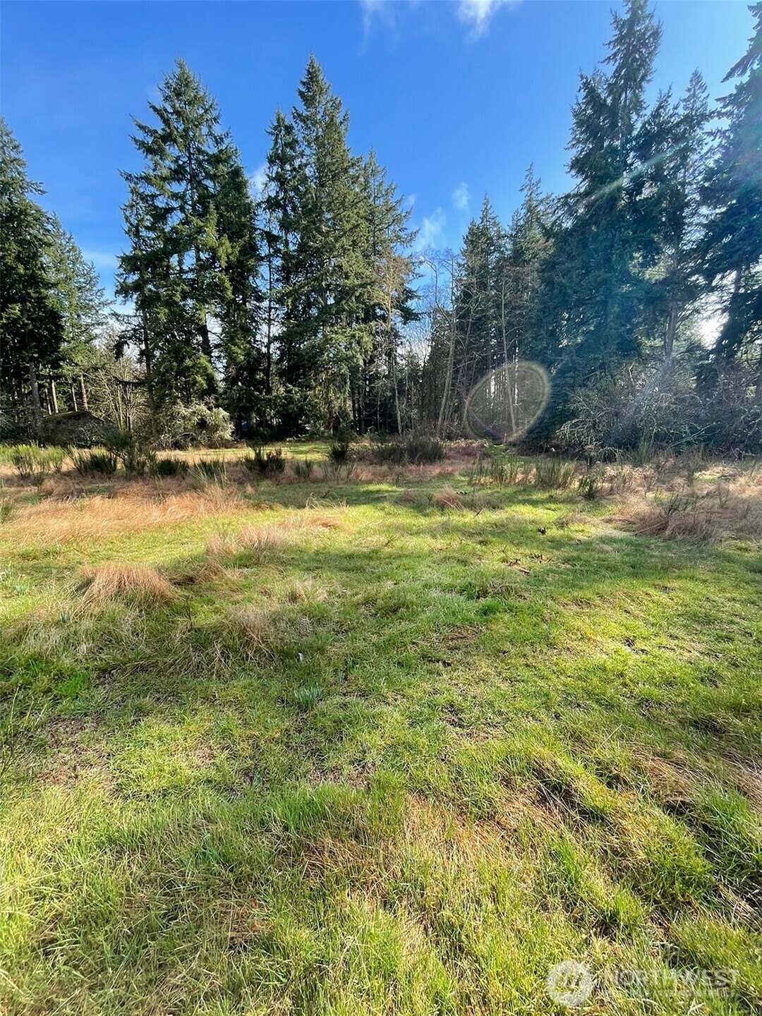 a view of a water fountain and a big yard