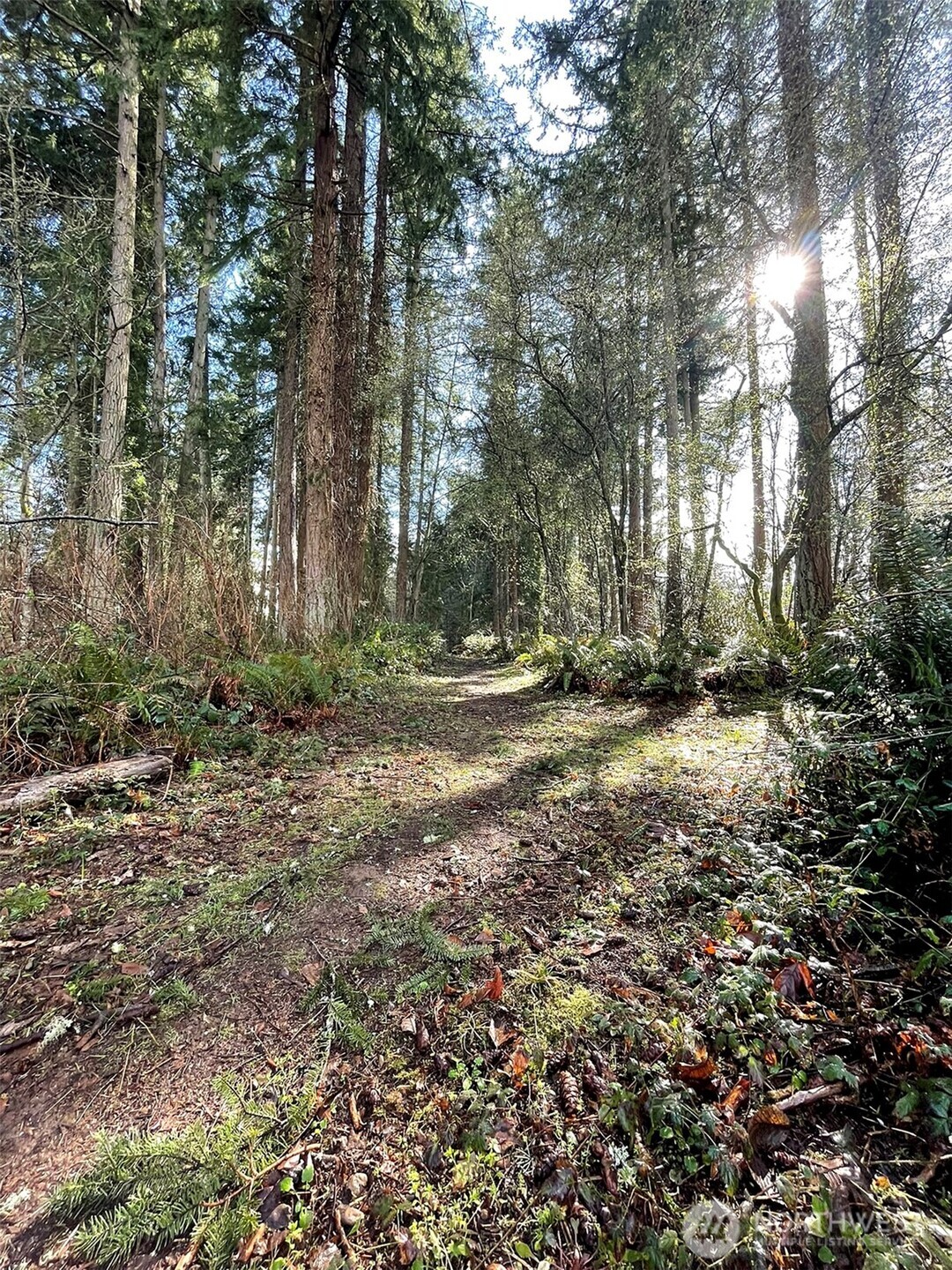 9221 Southwest Bank Road Vashon, WA 98070 - Photo 7 of 10 a view of outdoor space with trees
