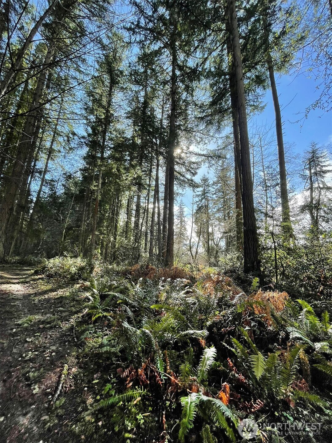 9221 Southwest Bank Road Vashon, WA 98070 - Photo 8 of 10 a view of outdoor space and a yard