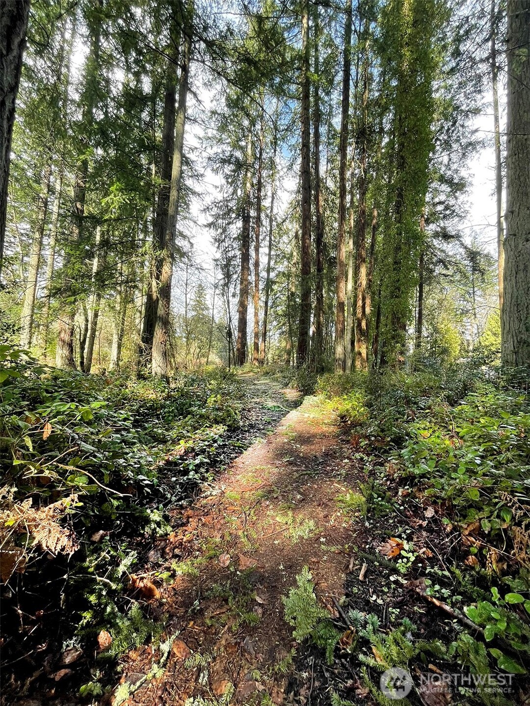 9221 Southwest Bank Road Vashon, WA 98070 - Photo 9 of 10 a backyard of a house with lots of green space