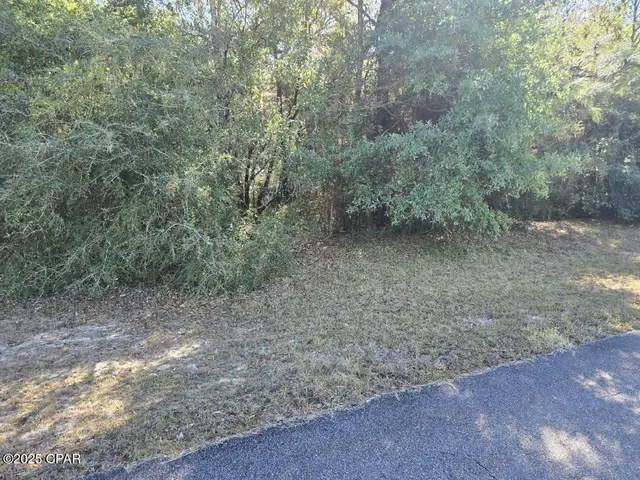 $33,900 | 10-11 Ambassador Drive, Chipley, FL 32428