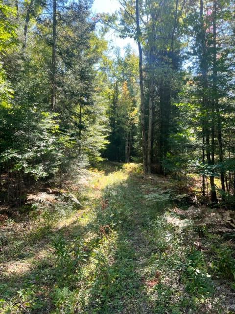 3675 Nasser (120 Acres) Road Fairview, MI 48621 - Photo 58 of 76 Gallery Image 58
