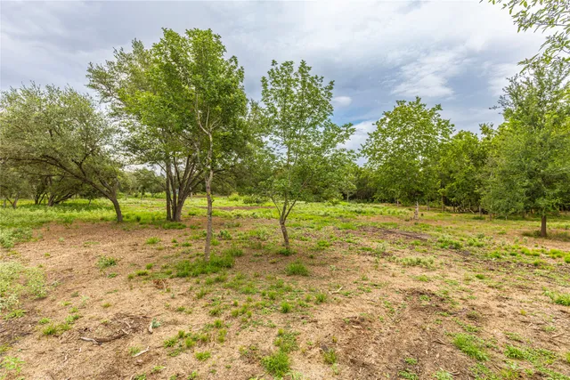 a view of a yard with plants and trees