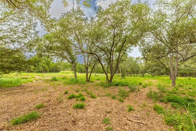 a view of backyard with tree