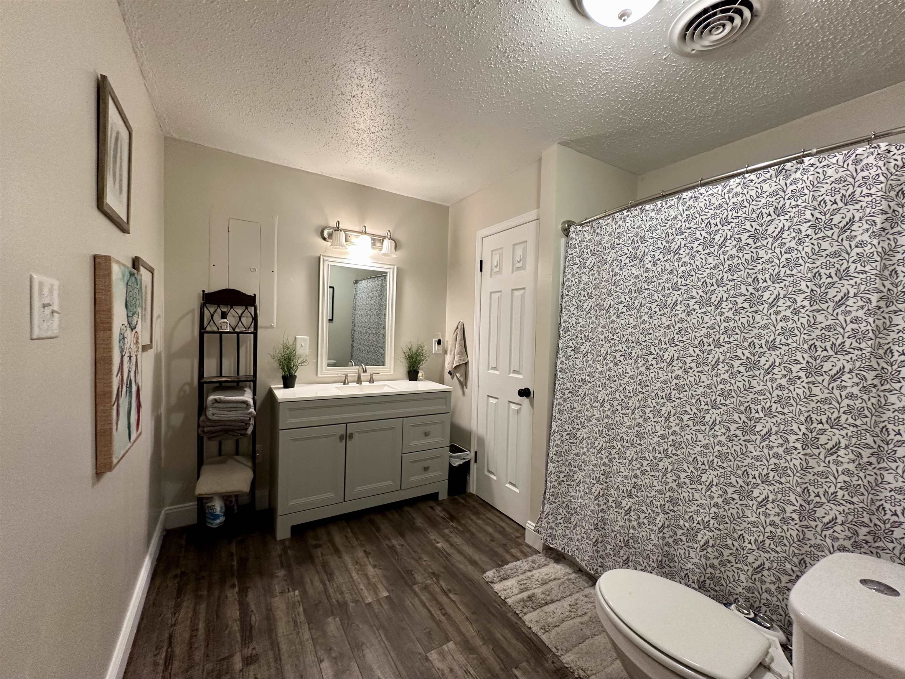 1230 Joann Road Somerville, TN 38068 - Photo 16 of 28 Full bath featuring vanity, curtained shower, a textured ceiling, and dark wood-style floors