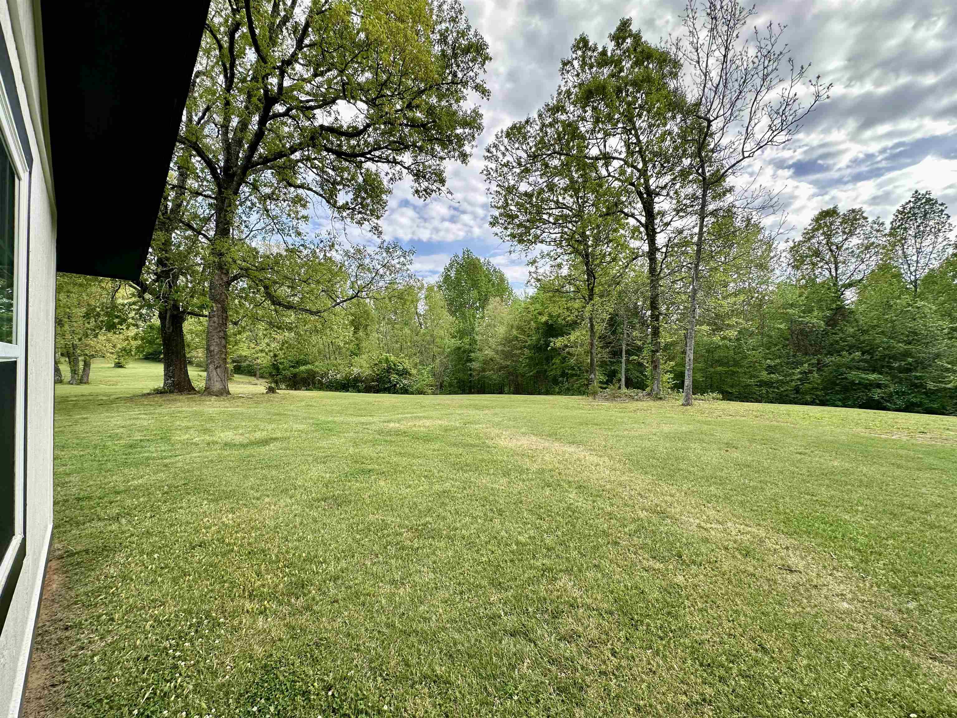 1230 Joann Road Somerville, TN 38068 - Photo 25 of 28 View of grassy yard