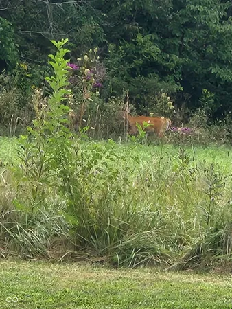 $775,000 | 9100 South Us Highway, Muncie, IN 47302