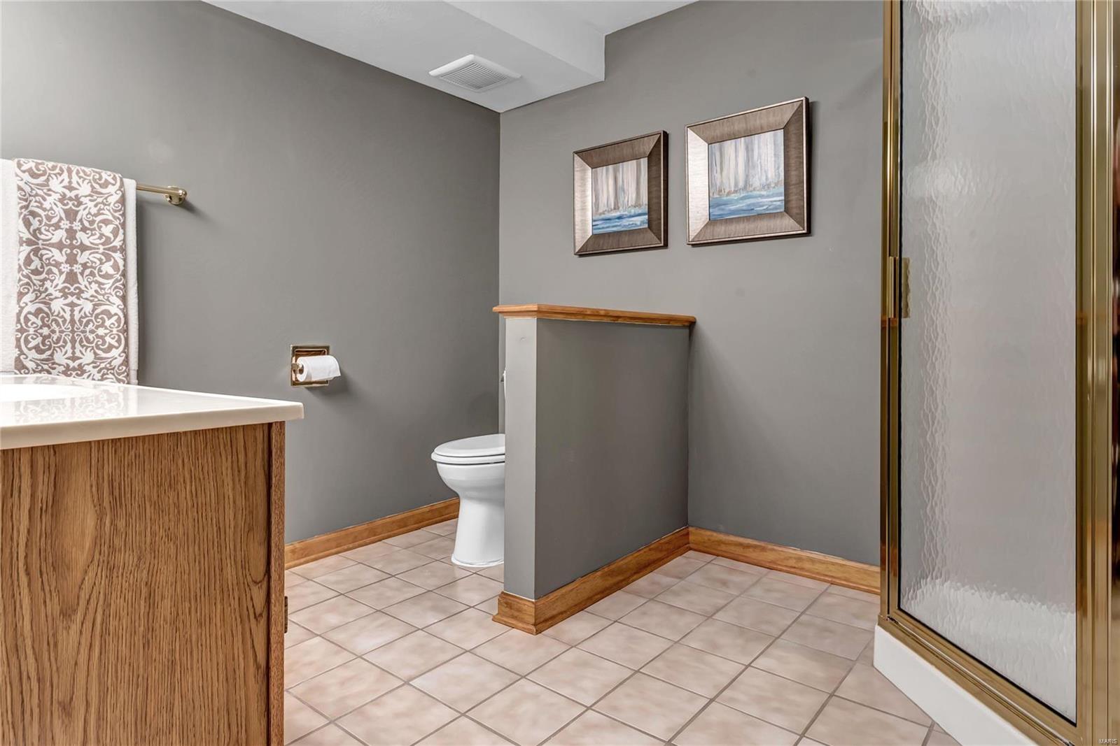 15082 Country Ridge Drive Chesterfield, MO 63017 - Photo 24 of 38 Gallery Image 24