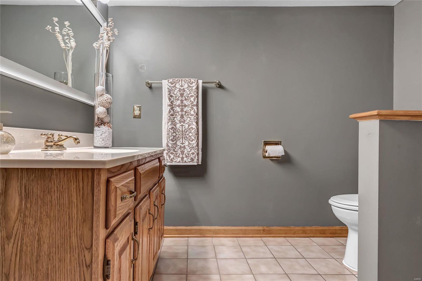 15082 Country Ridge Drive Chesterfield, MO 63017 - Photo 25 of 38 Gallery Image 25