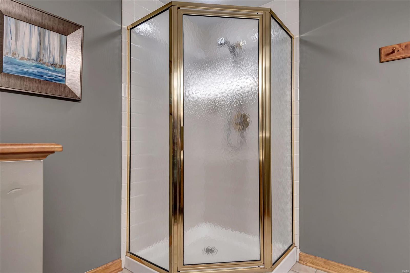 15082 Country Ridge Drive Chesterfield, MO 63017 - Photo 26 of 38 Gallery Image 26