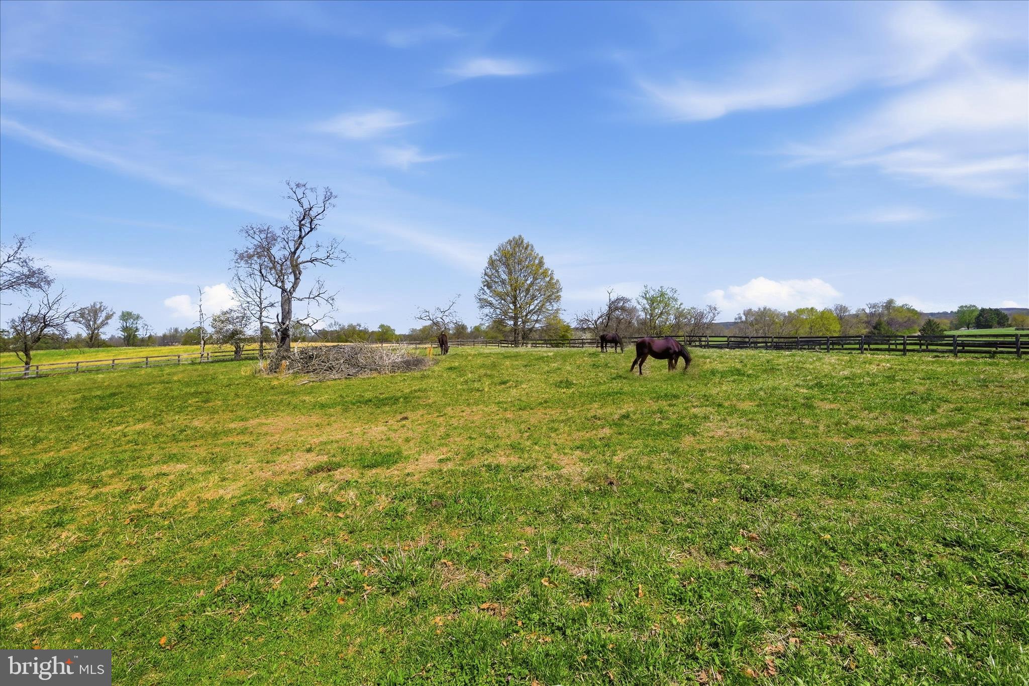 2517 5 Points Road Marshall, VA 20115 - Photo 113 of 147 Pasture