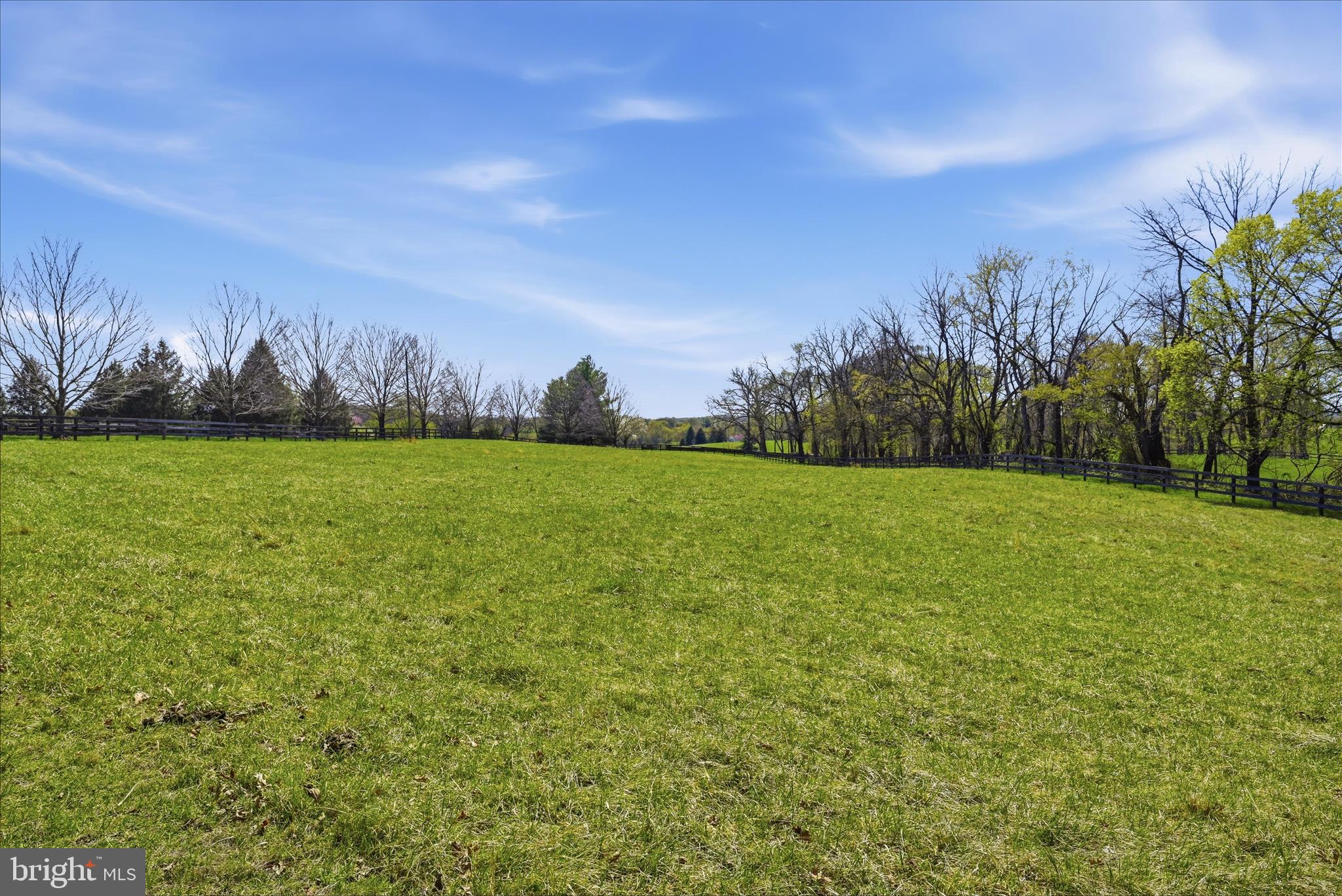 2517 5 Points Road Marshall, VA 20115 - Photo 116 of 147 Lot Area