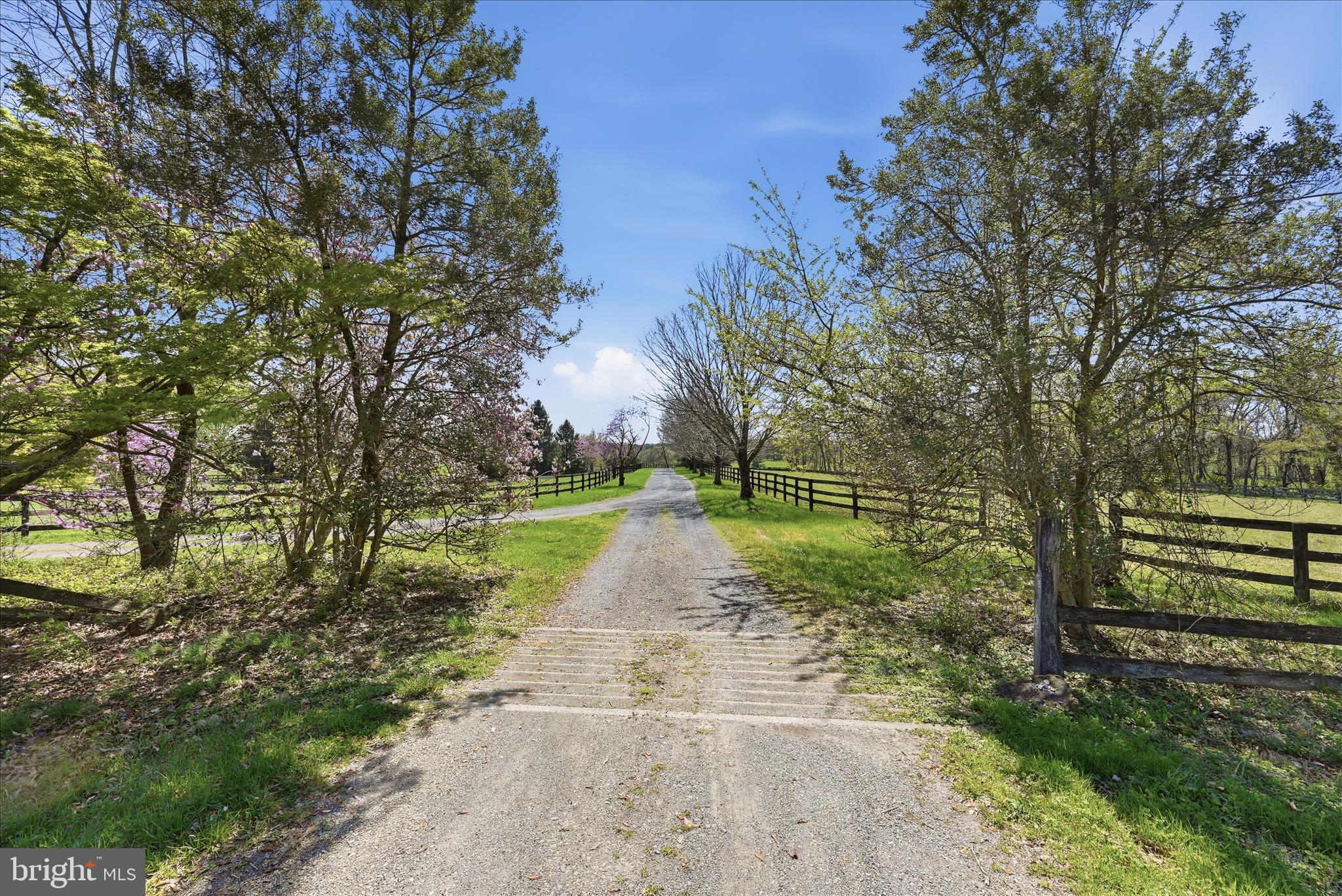 2517 5 Points Road Marshall, VA 20115 - Photo 117 of 147 Lot Area