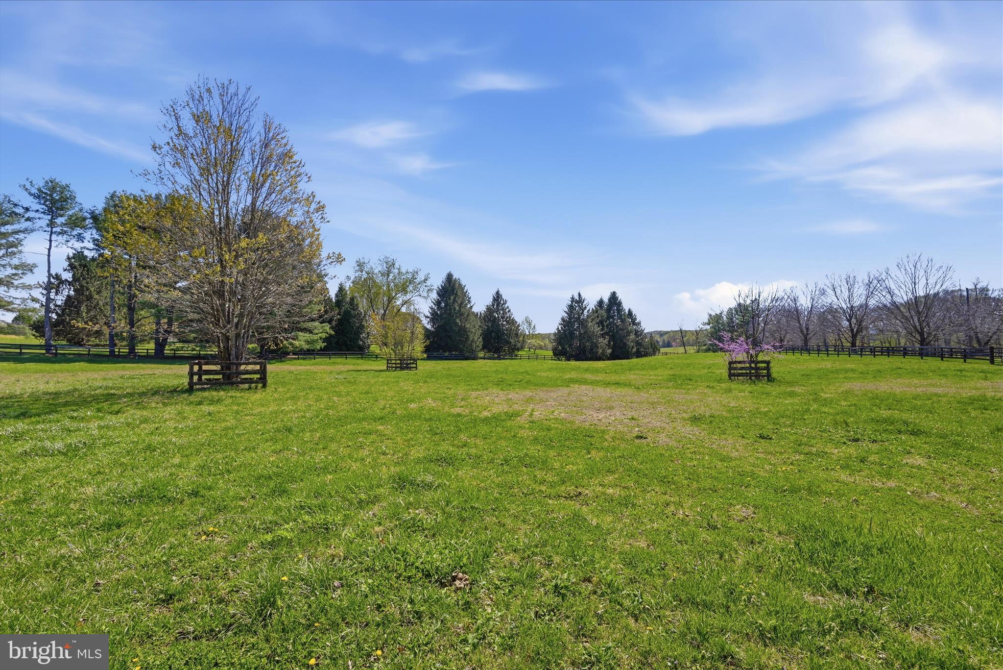 2517 5 Points Road Marshall, VA 20115 - Photo 119 of 147 Lot Area