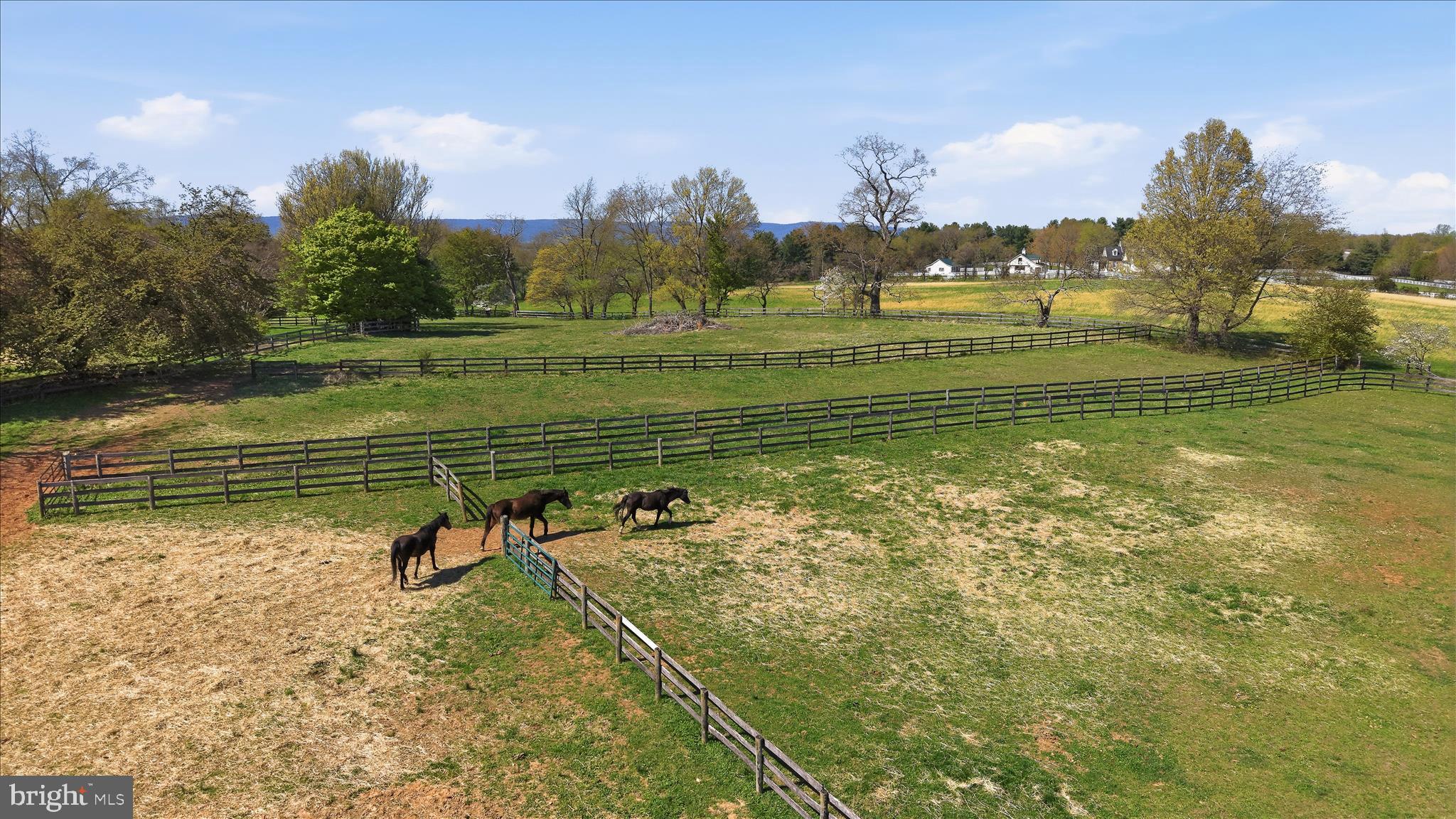 2517 5 Points Road Marshall, VA 20115 - Photo 130 of 147 Aerial View