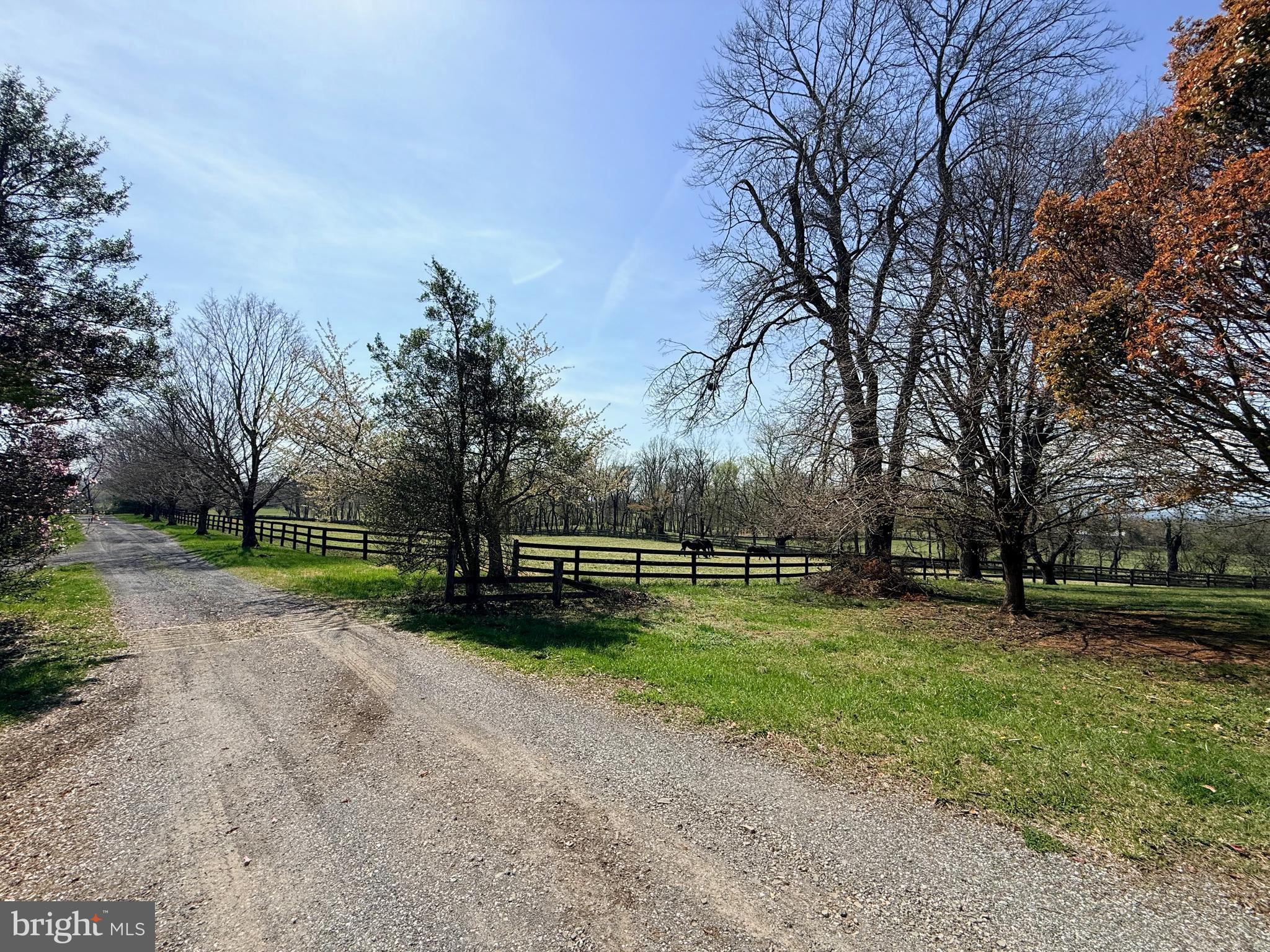 2517 5 Points Road Marshall, VA 20115 - Photo 4 of 8