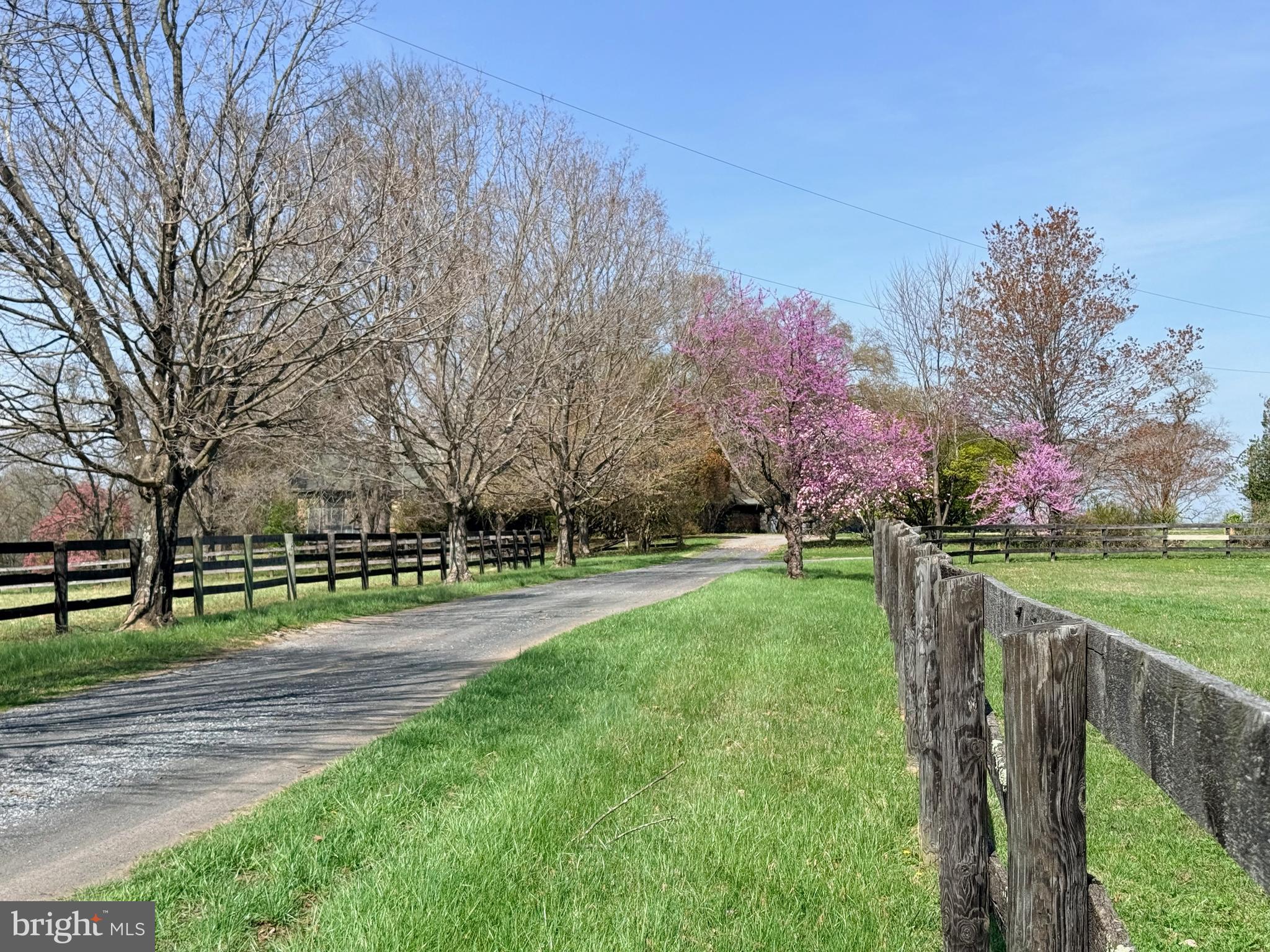 2517 5 Points Road Marshall, VA 20115 - Photo 6 of 8