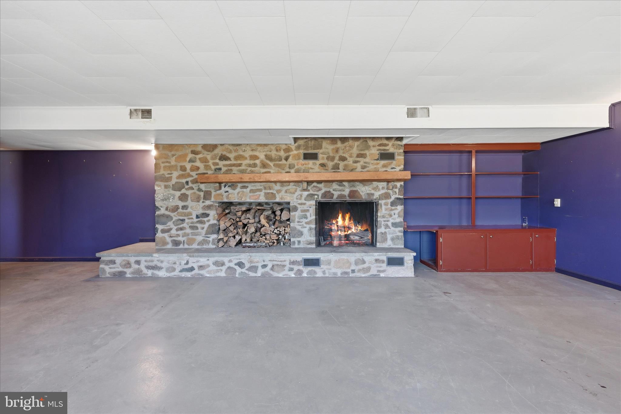 2517 5 Points Road Marshall, VA 20115 - Photo 70 of 147 Basement Living Area