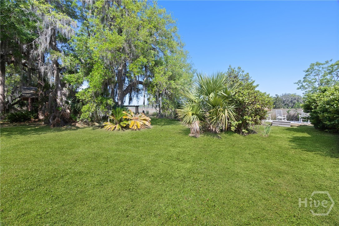 95 Circle Drive Midway, GA 31320 - Photo 21 of 29 Lush backyard with mature trees and a private, serene setting