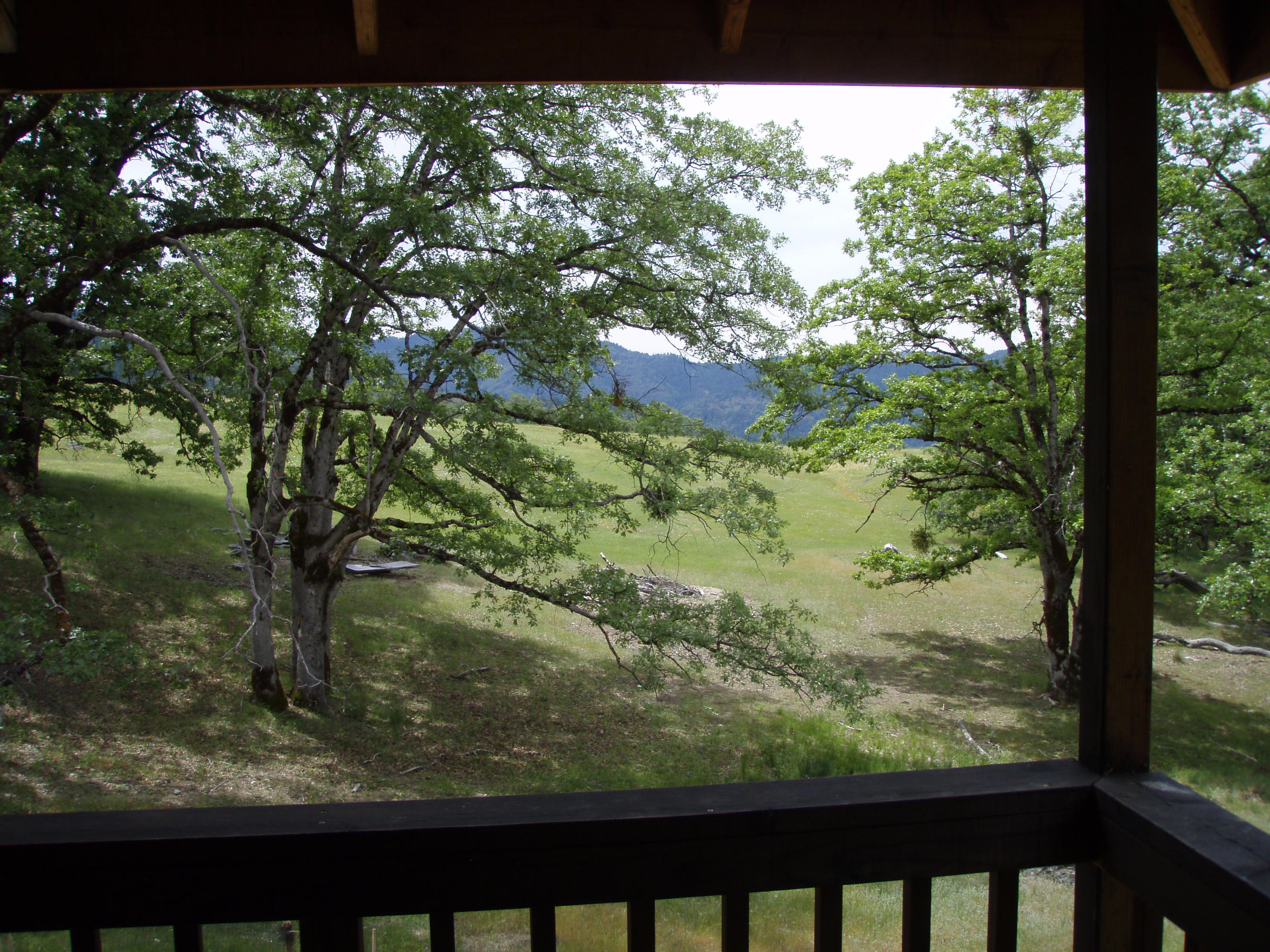 4750 Burr Valley Road Bridgeville, CA 95526 - Photo 4 of 52