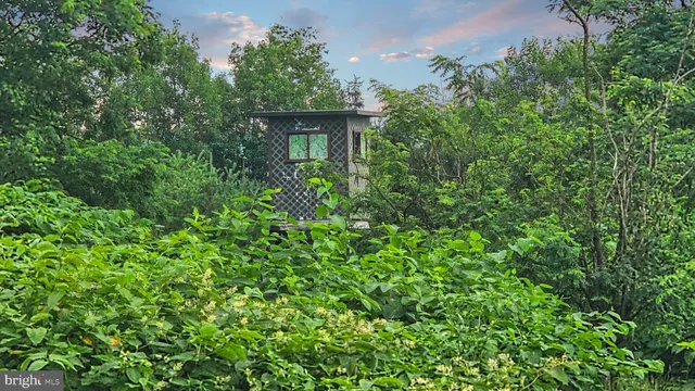 a view of a field with an ocean and trees