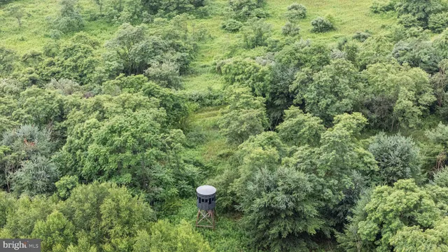 an aerial view of a houses with a yard