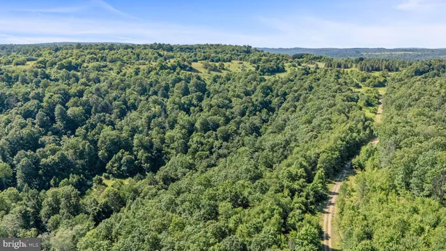 a view of a yard with a house