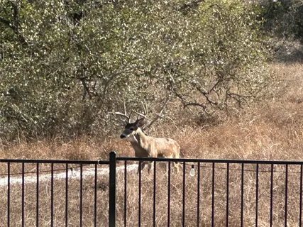 $1,185,000 | 2009 Nature View Loop, Driftwood, TX 78619