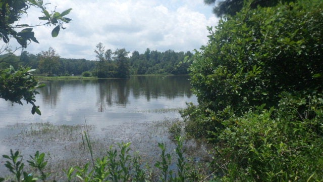 13 Fop Lodge Road Andalusia, AL 36421 - Photo 1 of 3 Gallery Image 1