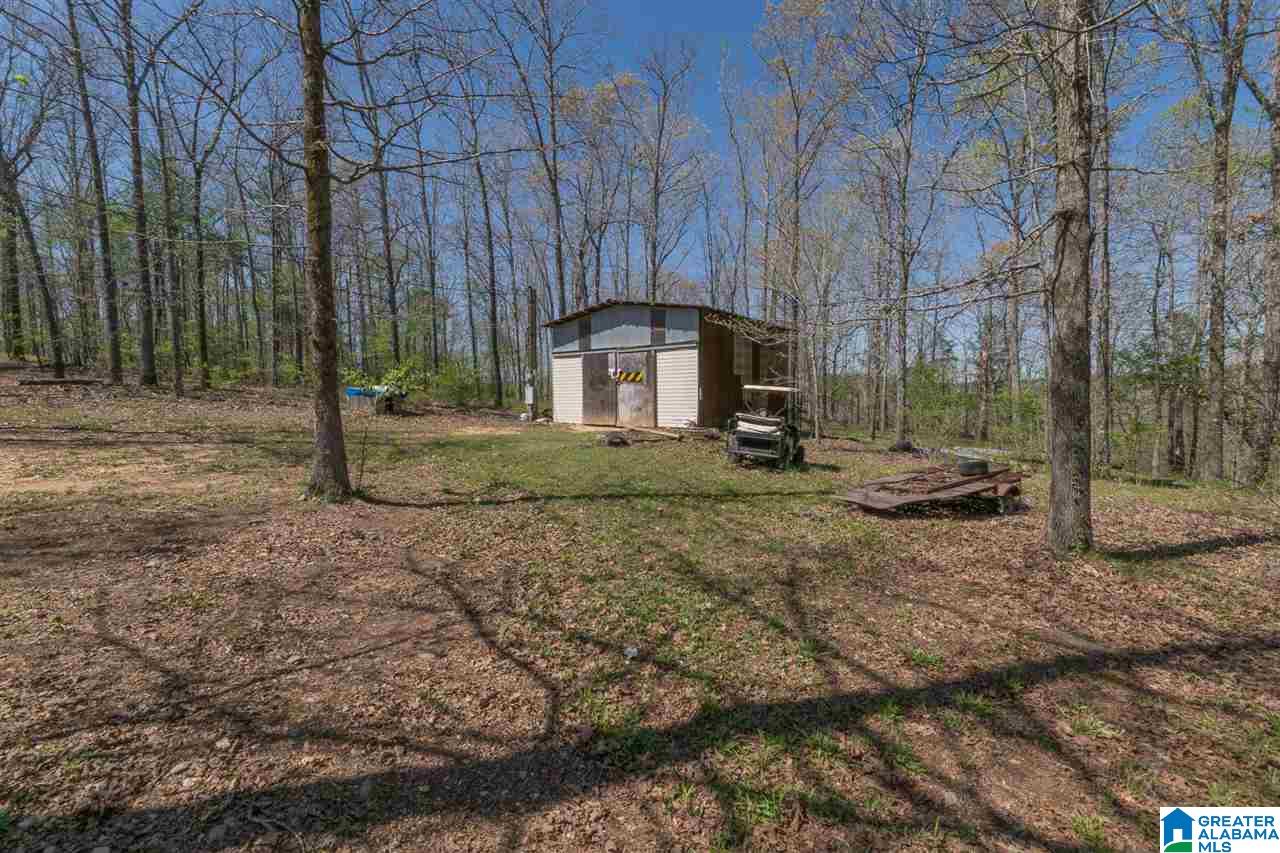 2800 County Road 107 Randolph, AL 36792 - Photo 19 of 23
