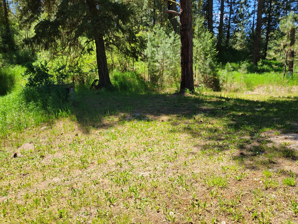 607-11 South Main Street Cascade, ID 83611 - Photo 22 of 23 Wooded