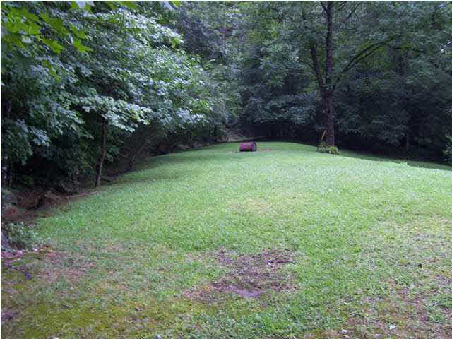 5969 County Road 20 Oneonta, AL 35121 - Photo 10 of 18