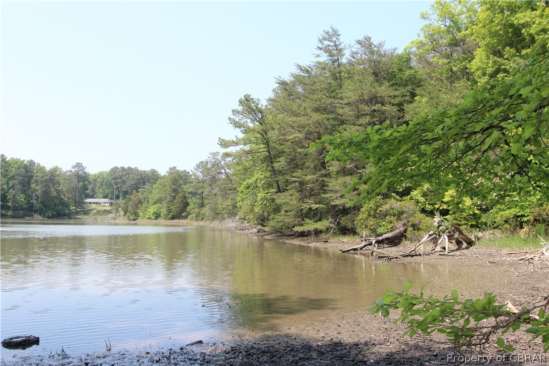 0 Timberneck Farm Road Hayes, VA 23072 - Photo 4 of 6