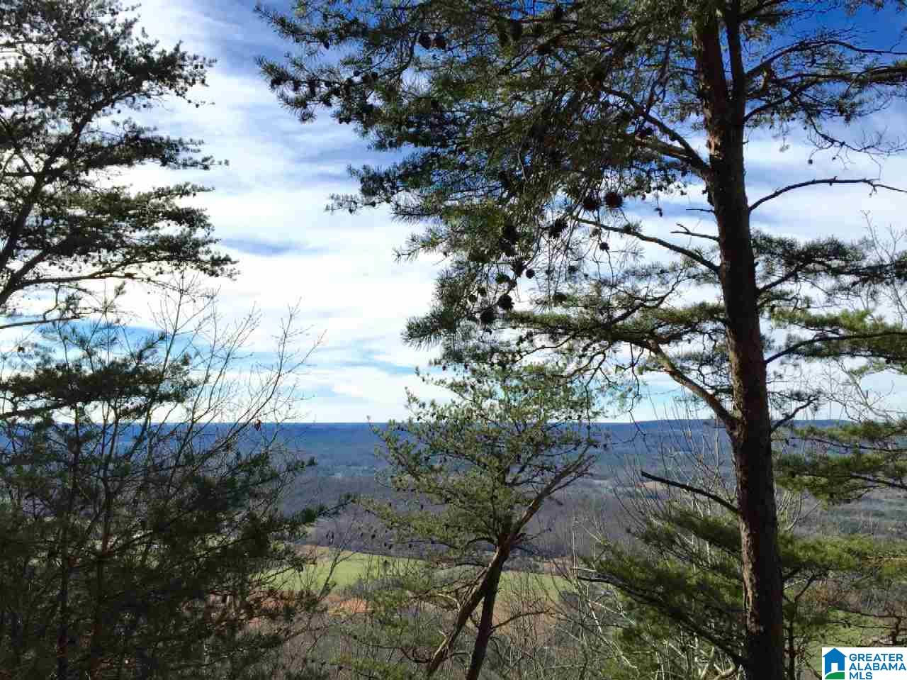 89 North County Road Mentone, AL 35984 - Photo 10 of 18